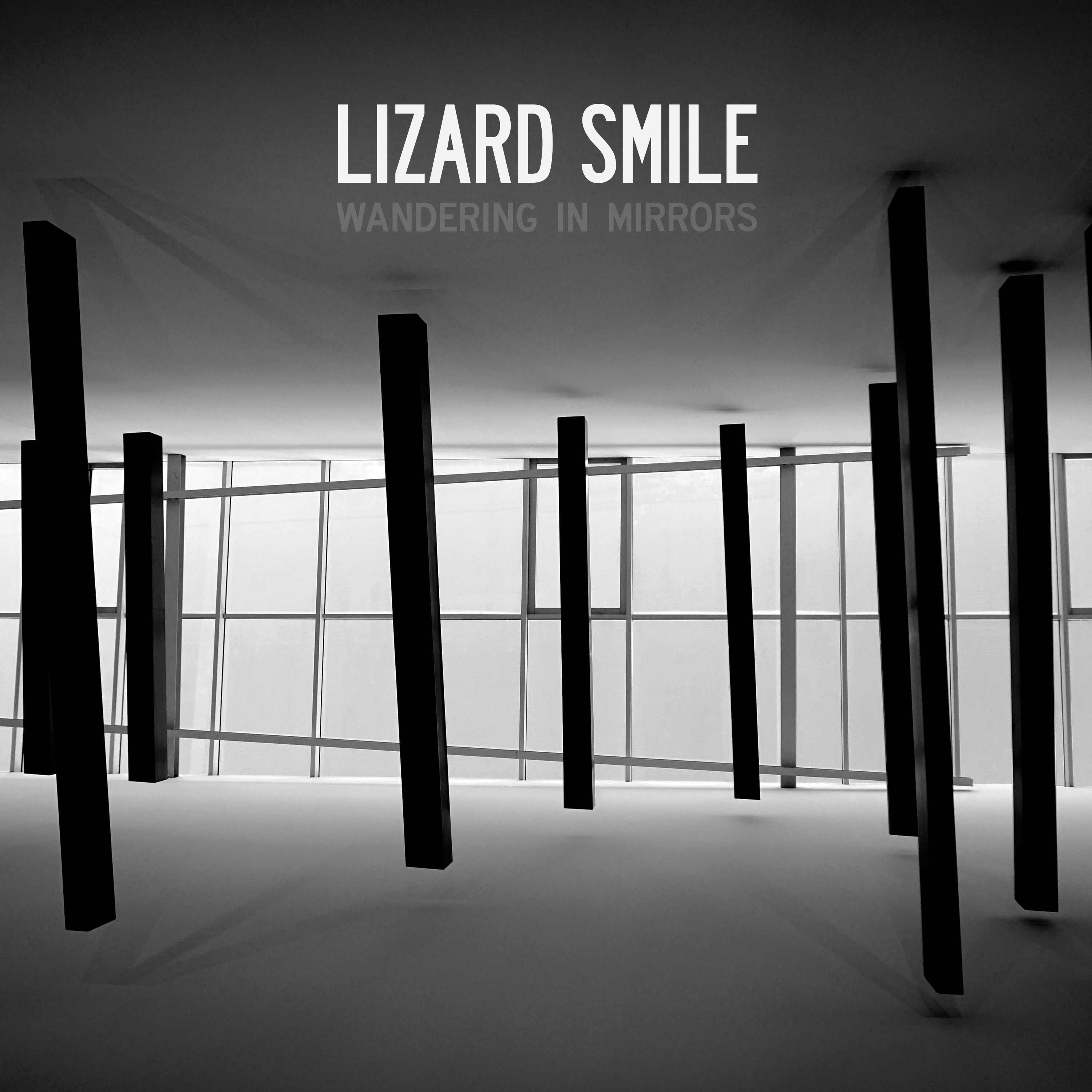 Wandering in Mirrors