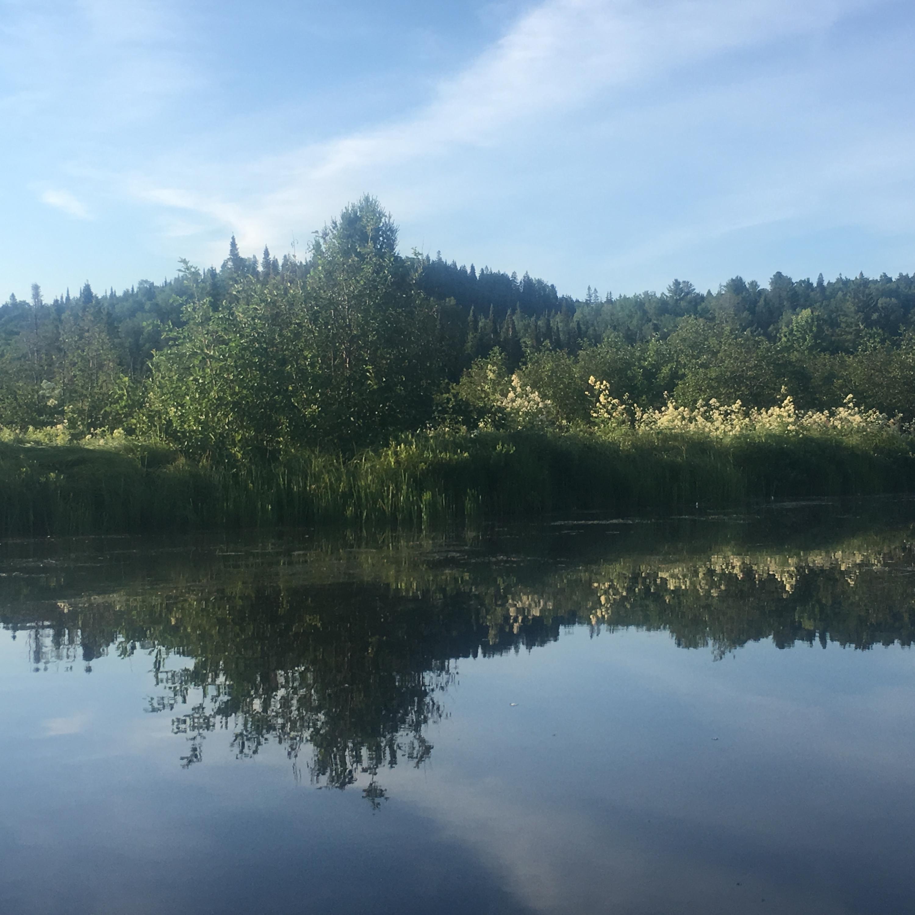 In the Stillness