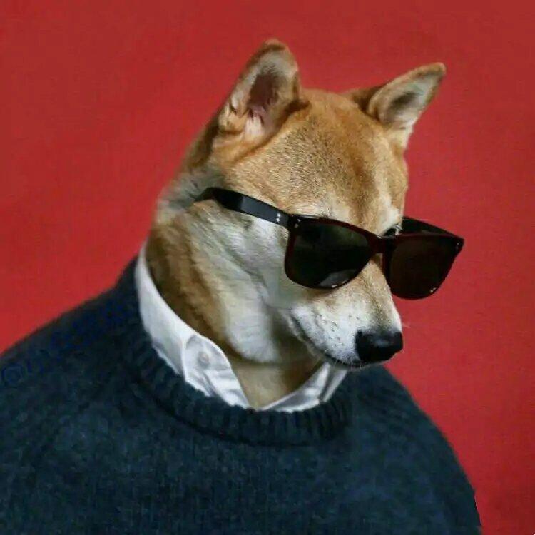 沿途看风景沿途哼唱 | 在线播放 | 网易云音乐