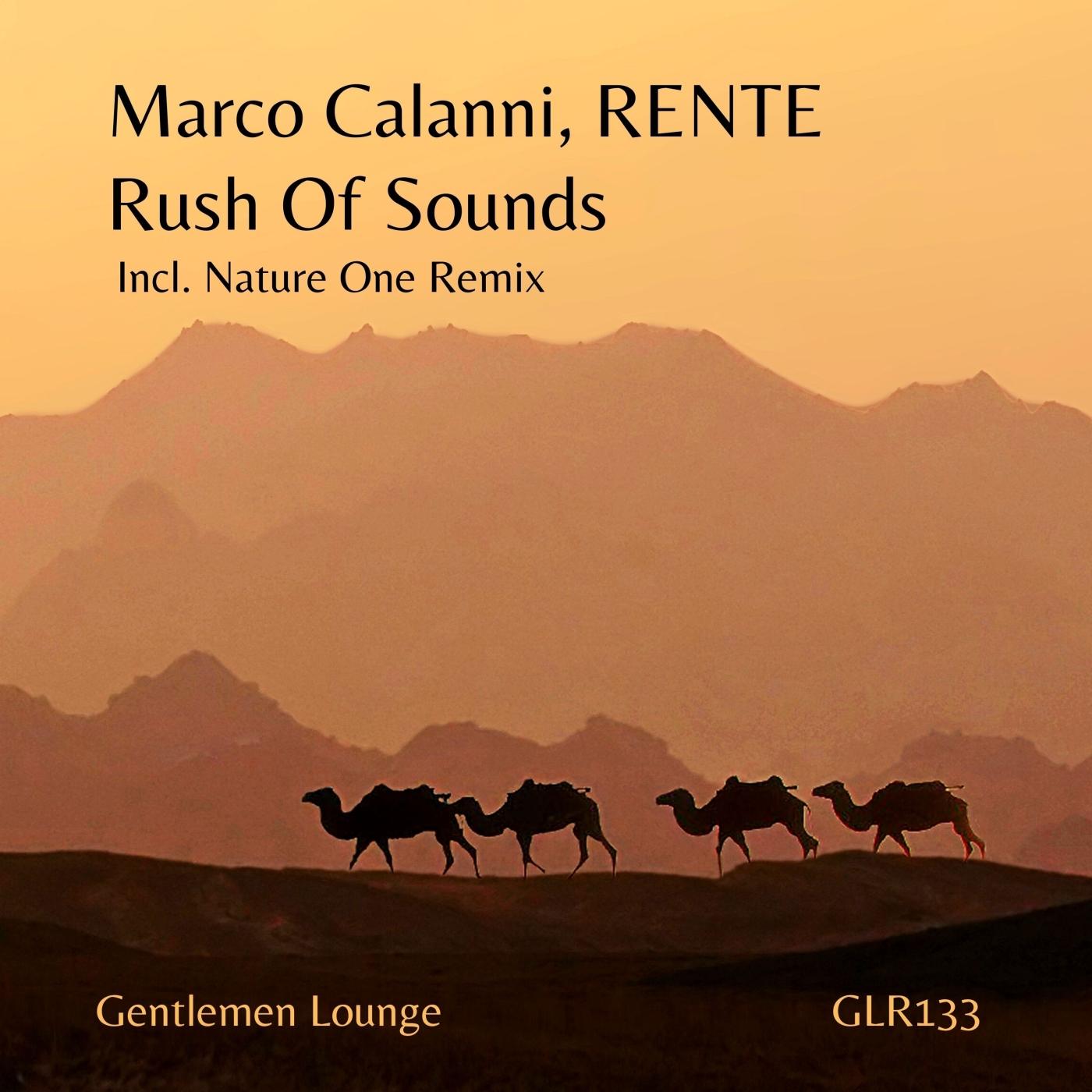 Rush of Sounds