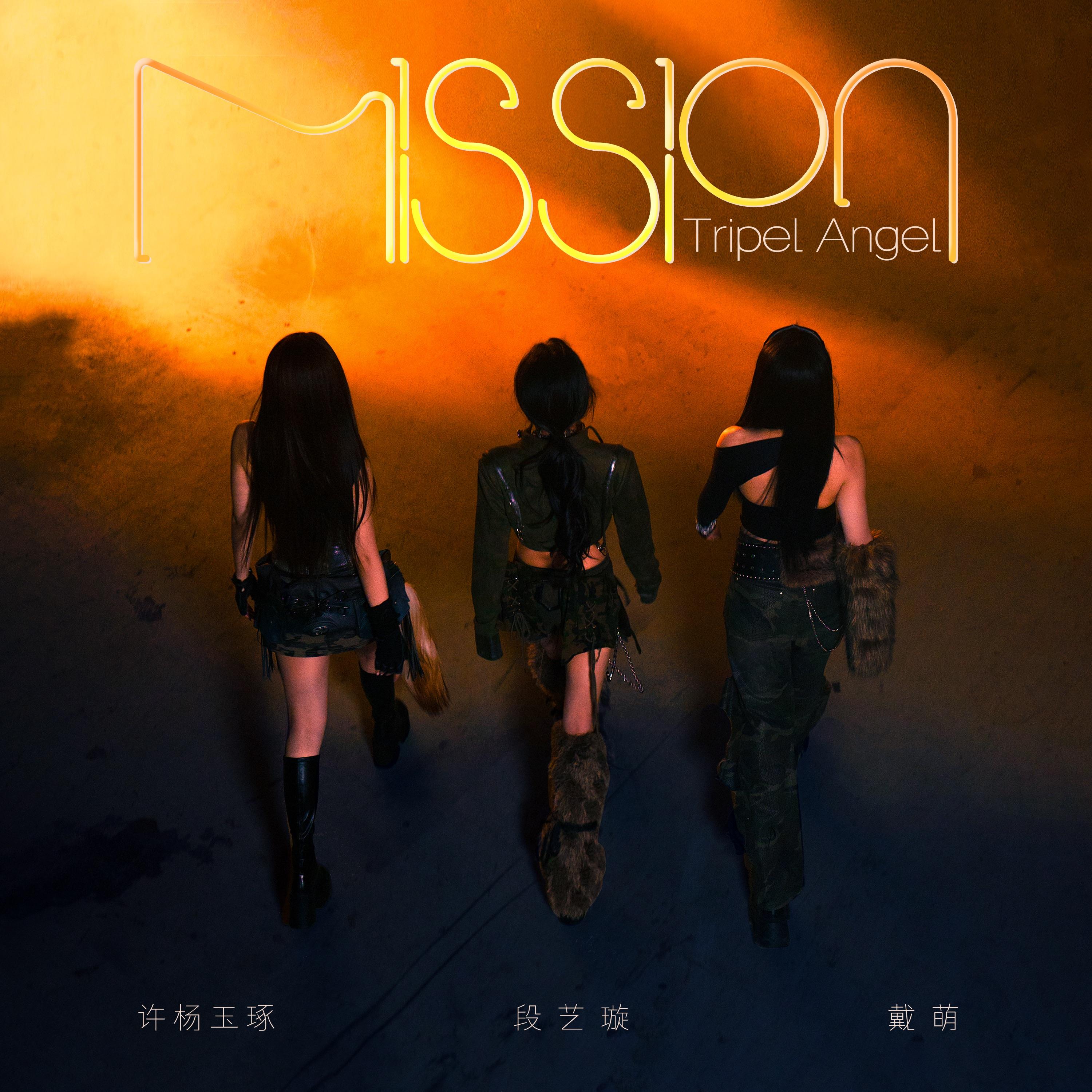 Mission