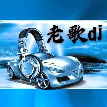 【车载】开车犯困必听中文老歌dj