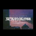 夏 天 的 風 1 9 8 8