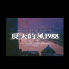 夏天的风1988