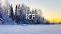 ice专辑
