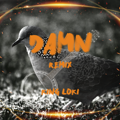 Damn [Remix]