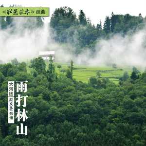 赵文多、彭博 - 雨打林山(伴奏) （升2半音）