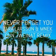 Never Forget You (Oun Jweinat Remix)