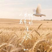人生啊总有一些追求