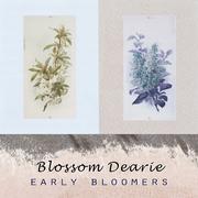 Early Bloomers