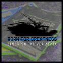 Born For Greatness (Jameston Thieves Remix)专辑