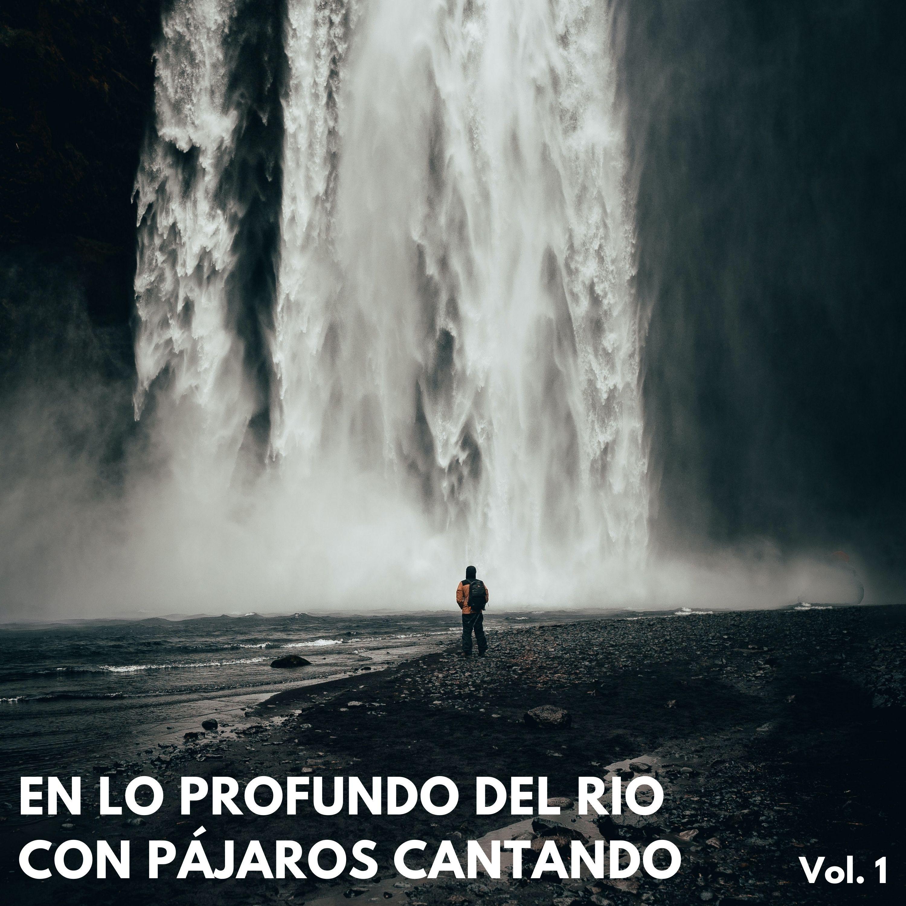 Colección de sonidos de la naturaleza - Ruido Del Río Spa
