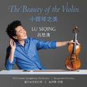 The Beauty Of The Violin专辑