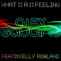 Alex Gaudino ft. Kelly Rowl - What A Feeling (免费unofficial instrumental)