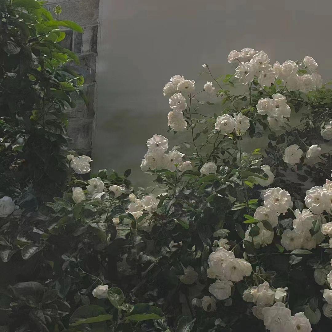 lighting moment(钢琴纯享)