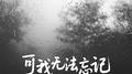 可我无法忘记专辑
