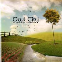 Owl City - Dreams Dont Turn To Dust (Official Instrumental) 原版无和声伴奏