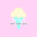 Dropt