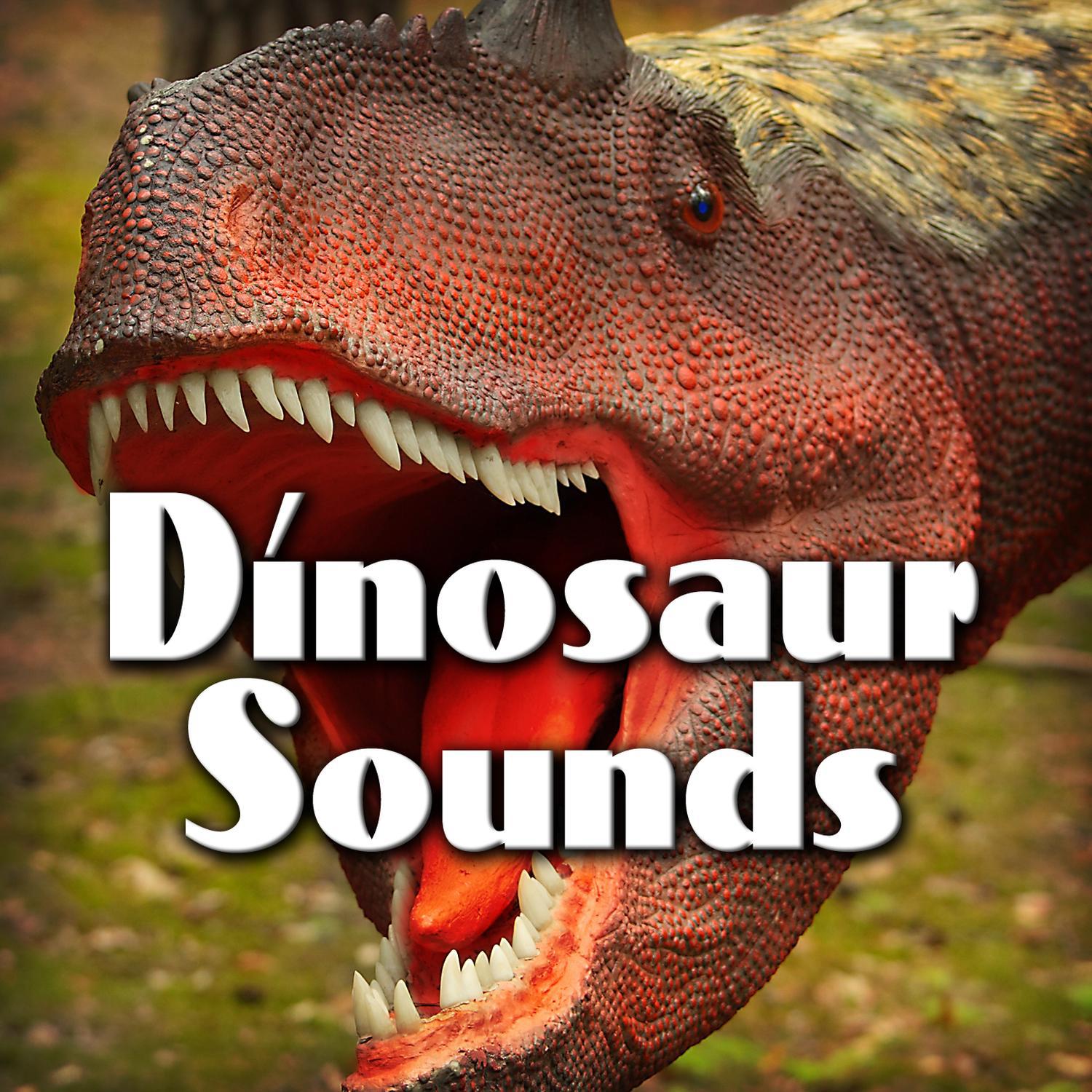 Dinosaur Sounds专辑