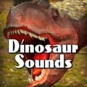 Dinosaur Sounds专辑