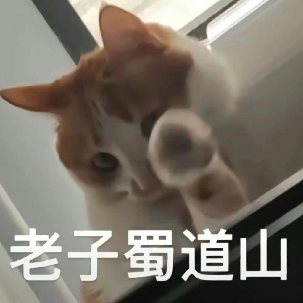 【 川渝说唱 】四川方言说唱CDC | 在线播放 | 网易云音乐