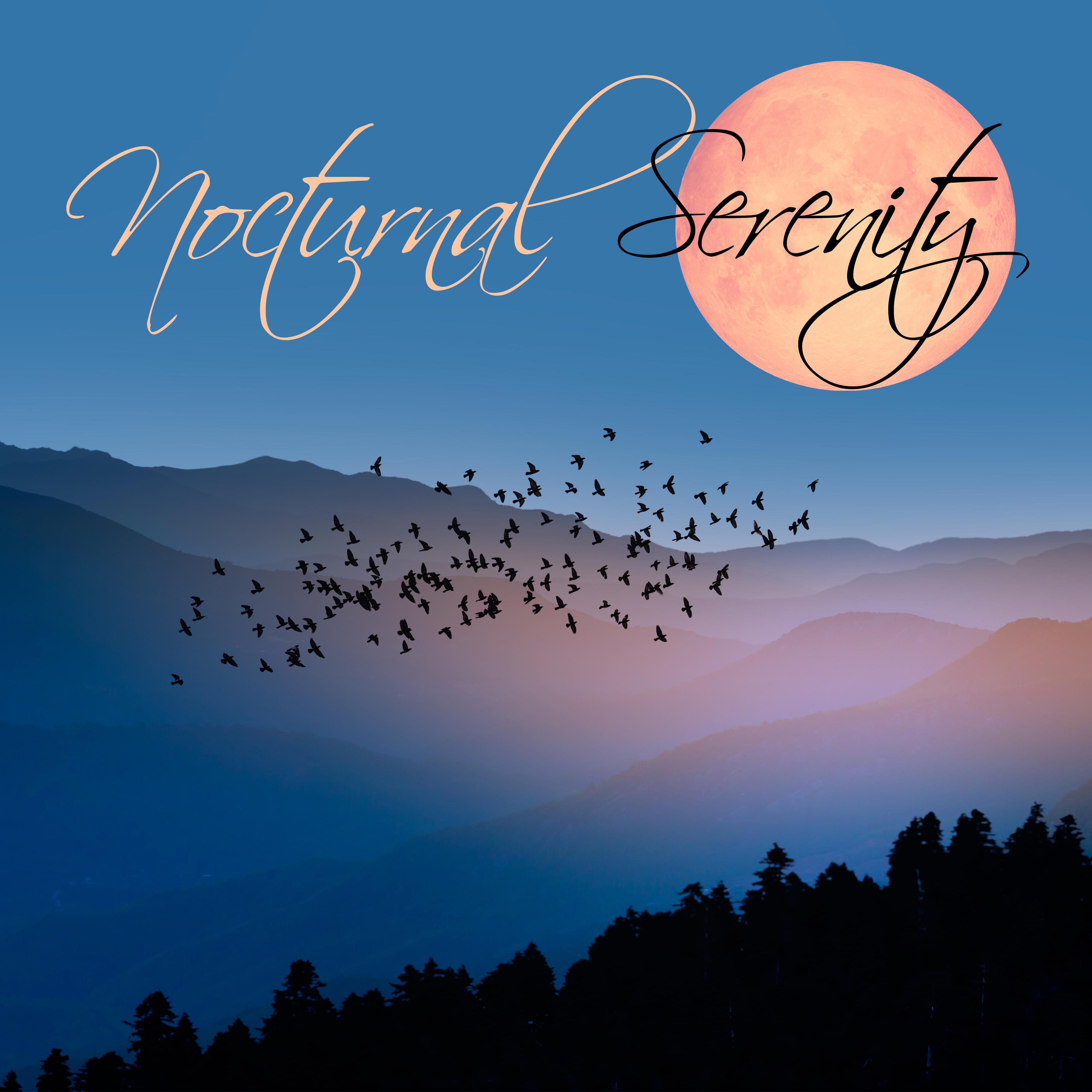 Nocturnal Serenity – Slow and Calm Chill Out Music, Night Session, Soothing Relaxation, Chillax