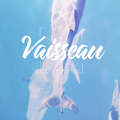 船Vaisseau