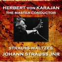 Strauss - Waltzes专辑