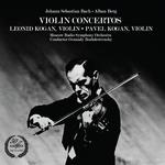 Violin Concerto: I. Andante - Allegretto