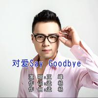 王峰 - 对爱Say Goodbye(原版立体声伴奏)
