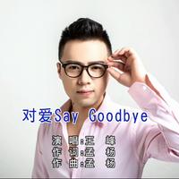 王峰-对爱Say Goodbye