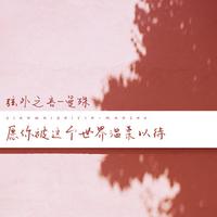 愿你被这个世界温柔以待 - L(桃籽)、何文宇 (带伴唱) 伴奏