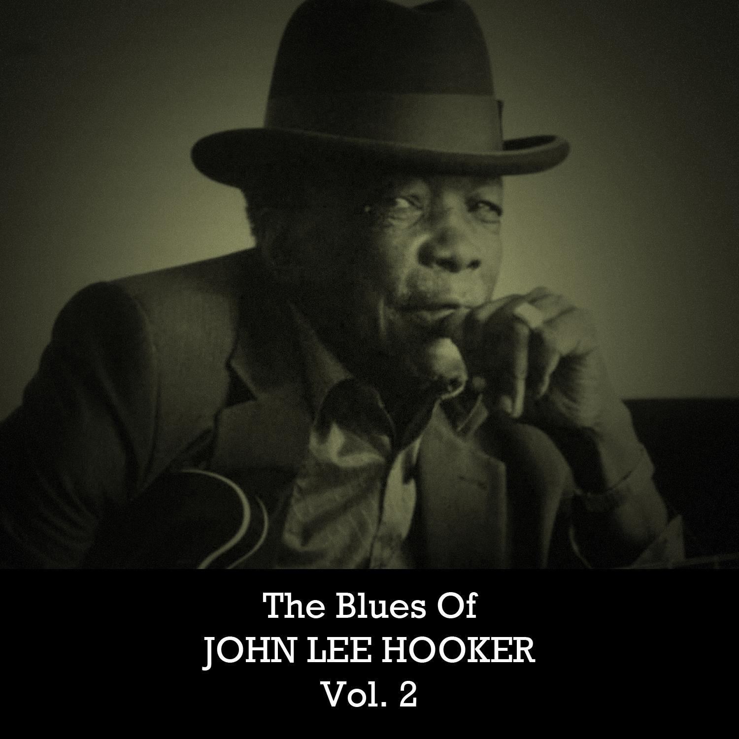 The Blues of John Lee Hooker, Vol. 2专辑