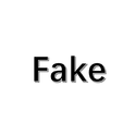 Fake专辑