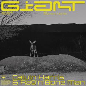 Giant - Calvin Harris, Rag'n'bone Man (HT Instrumental) 无和声伴奏 （升4半音）