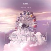 NeverLand(Extended Mix)