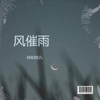 孙如樰儿 - 风催雨