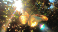 Reaching Light