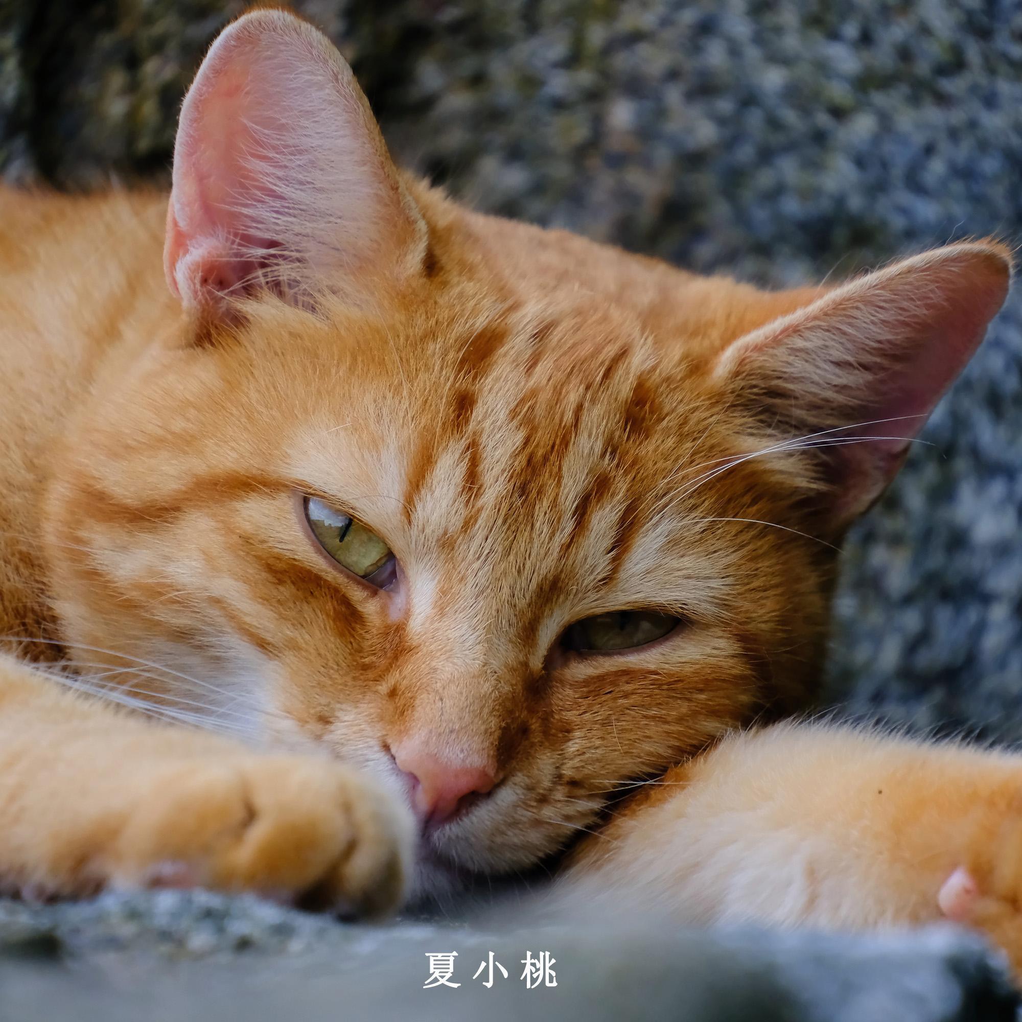 午休冥想的舒压解压旋律 轻音乐