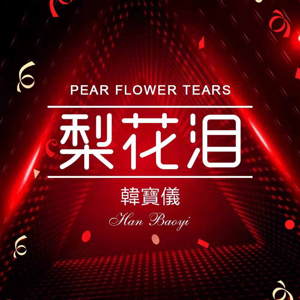 梨花泪 (DJ默涵版)
