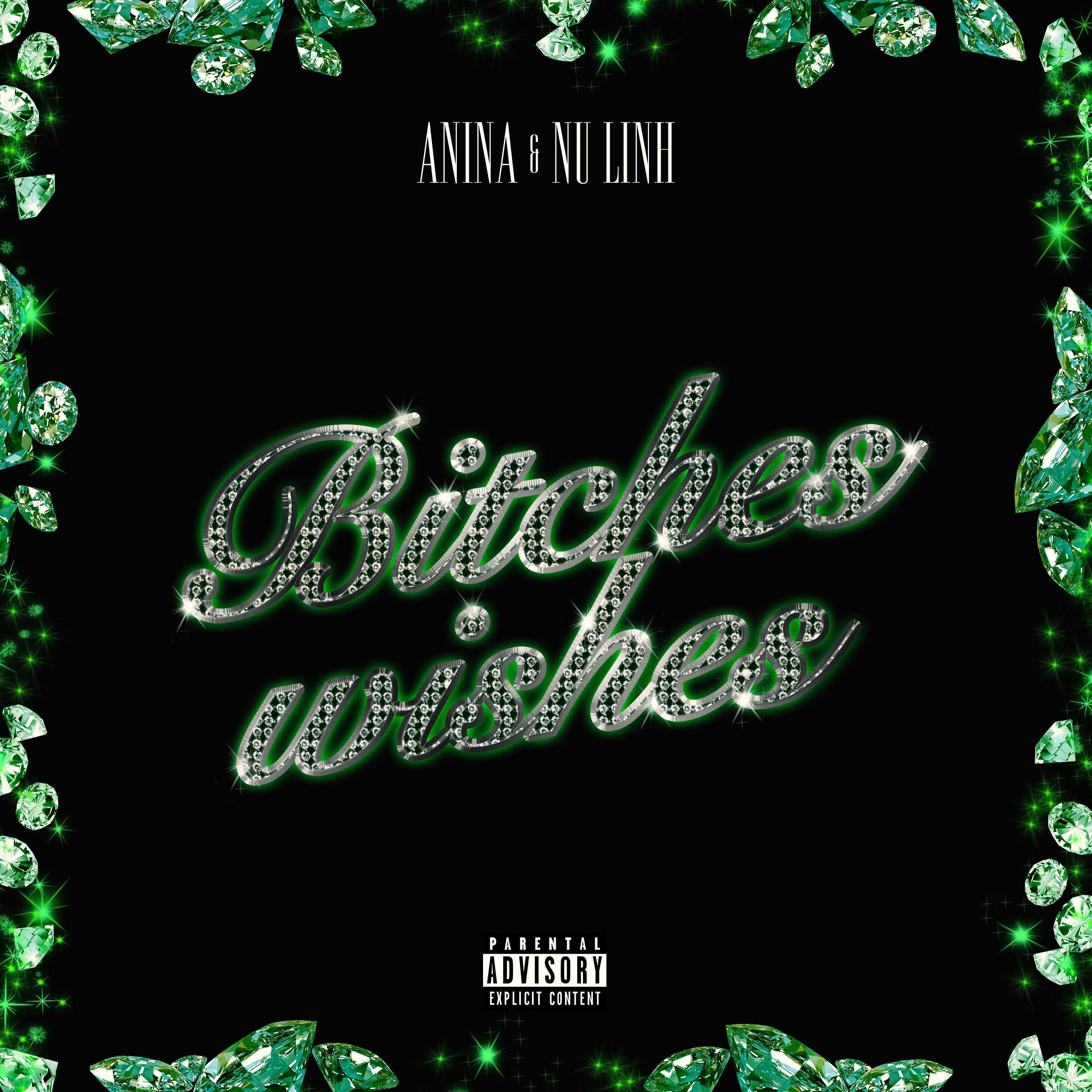 *****es Wishes (feat. Anina)