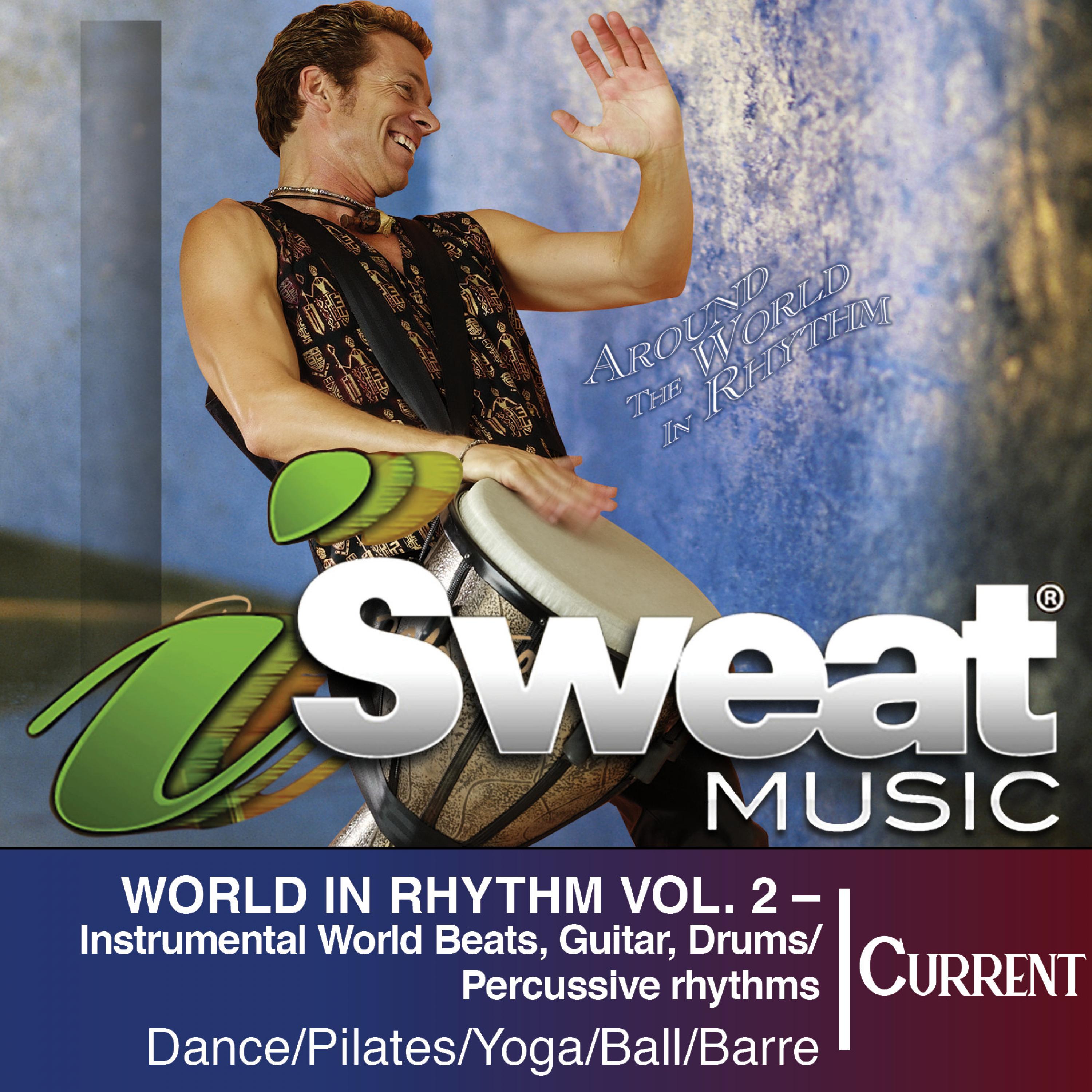 World In Rhythm, Vol. 2