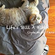 Life's Still A B**ch