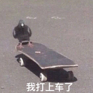 抖音搜索:澈子