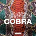 Cobra (Olly James Bootleg)专辑