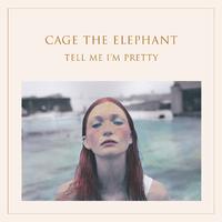 Cage the Elephant - In One Ear (Karaoke Version) 带和声伴奏