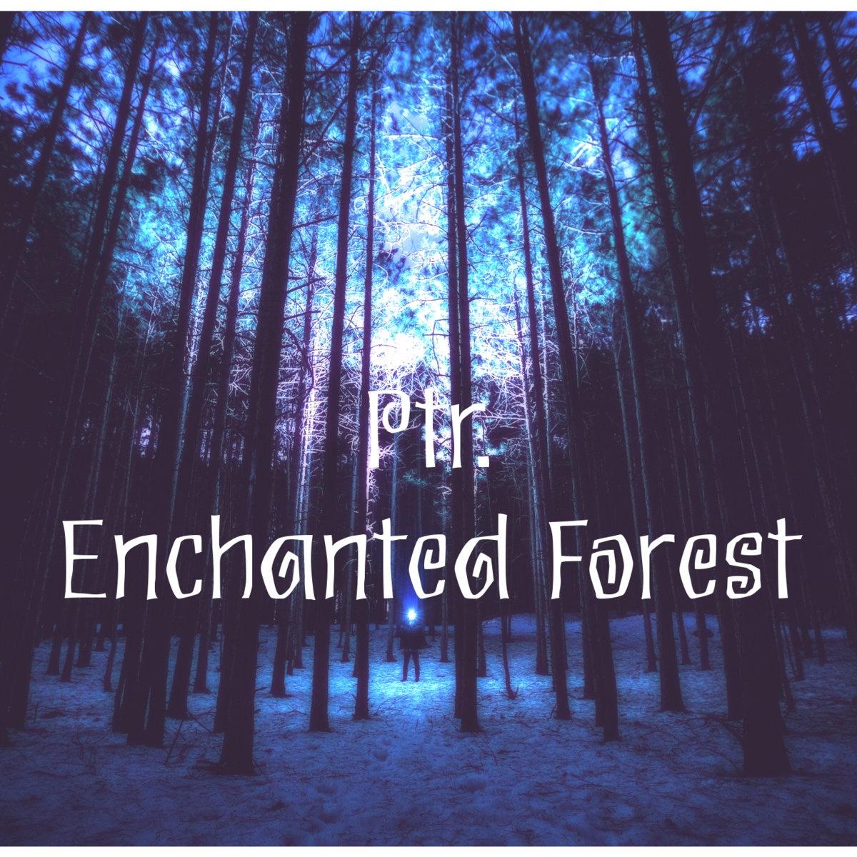  Enchanted Forest