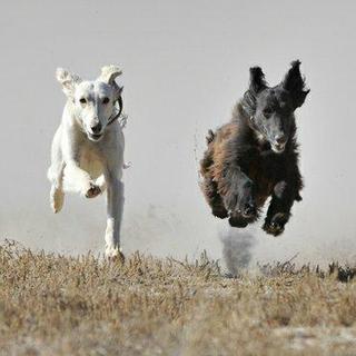 Can't stop running!