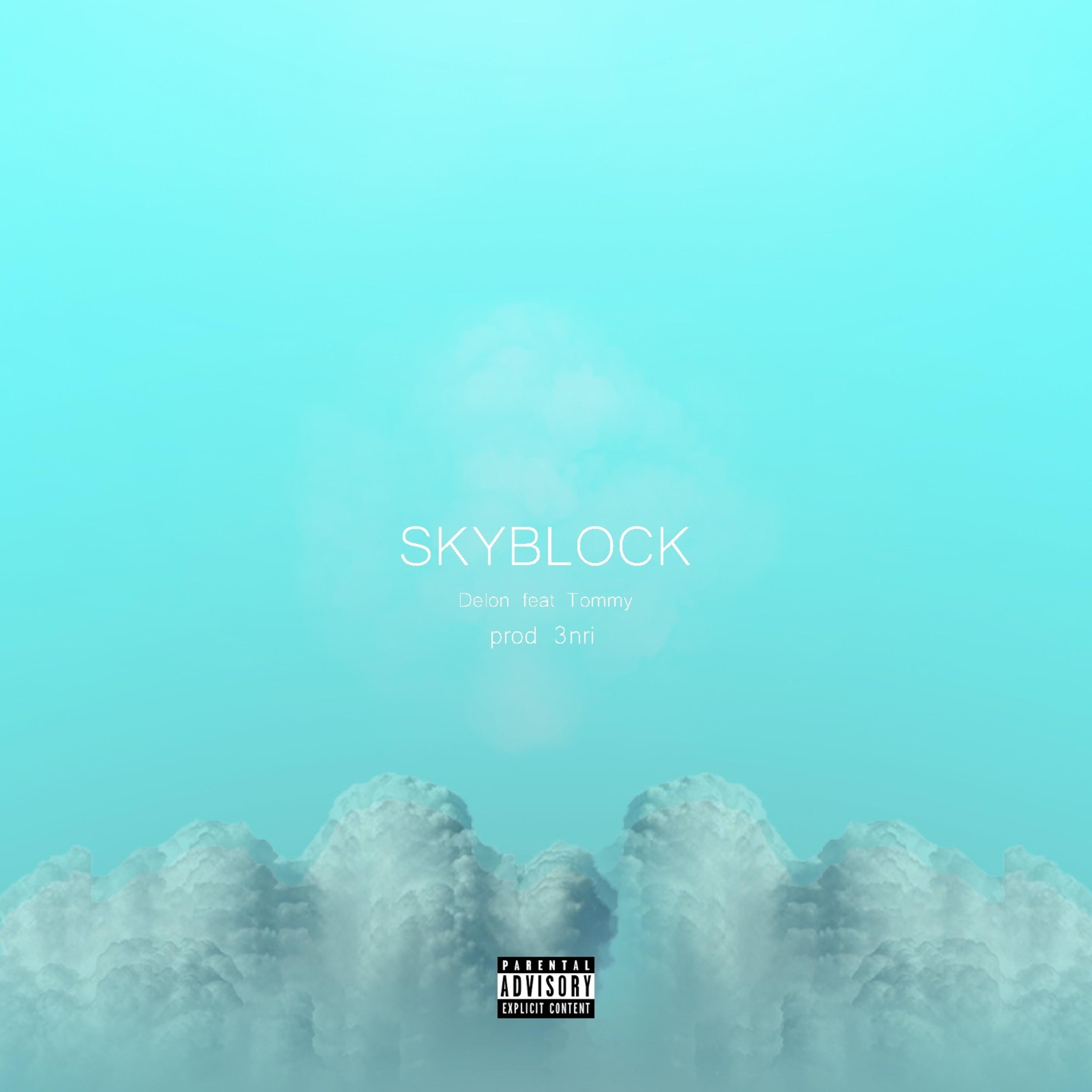 Skyblock (feat. Tommy)