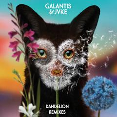 Galantis,JVKE《Dandelion (Pandapush Remix)吉他谱》降E调_编配精致感人